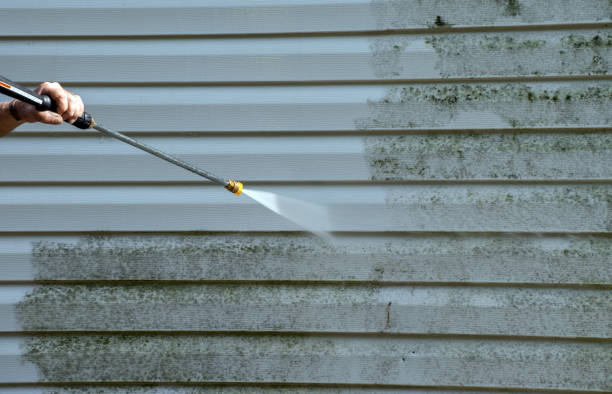 Best Affordable Pressure Washing  in Baxter, TN